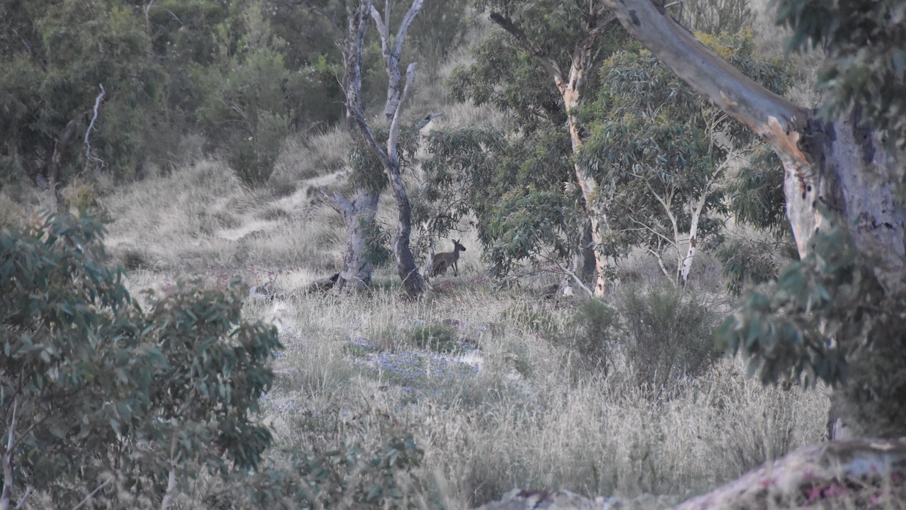 Photo of Others in Quorn