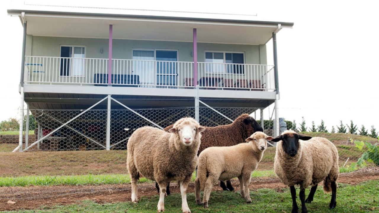 Photo of Others in Kurrajong