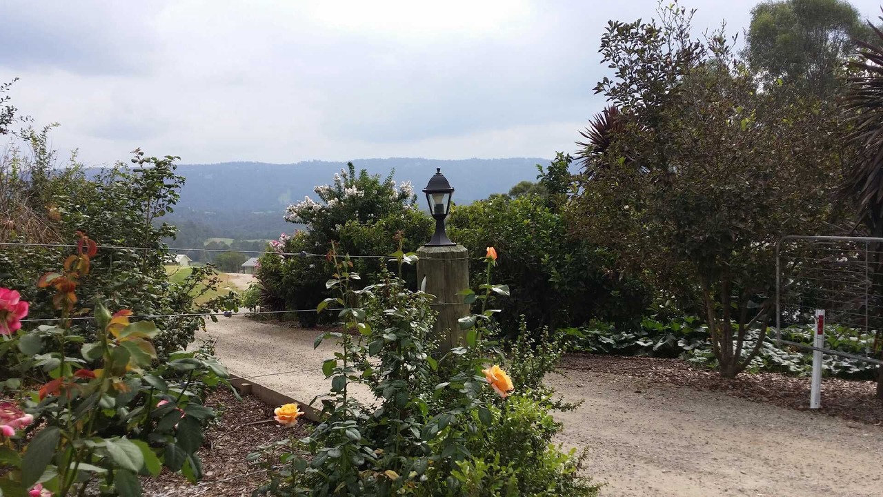 Photo of Outdoor in Kurrajong