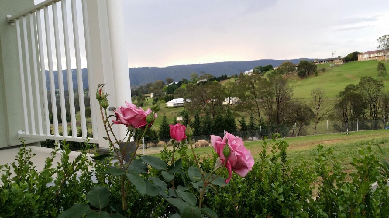 Photo of Others in Kurrajong
