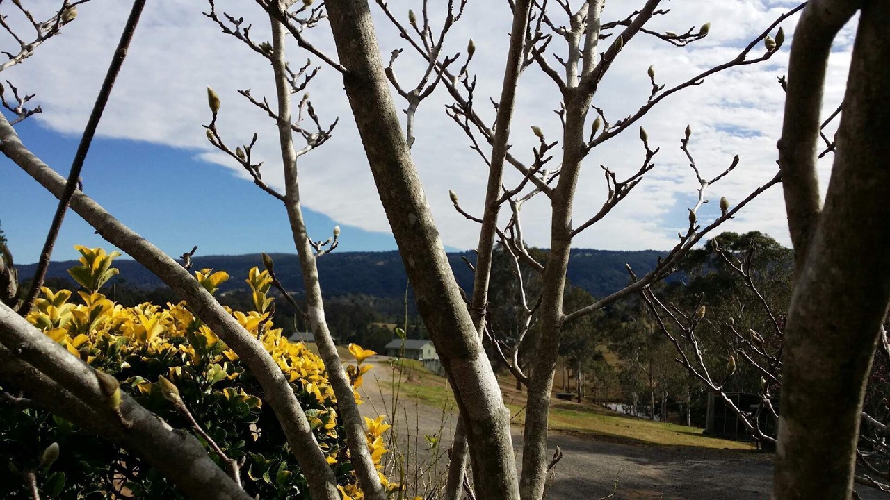 Photo of Outdoor in Kurrajong