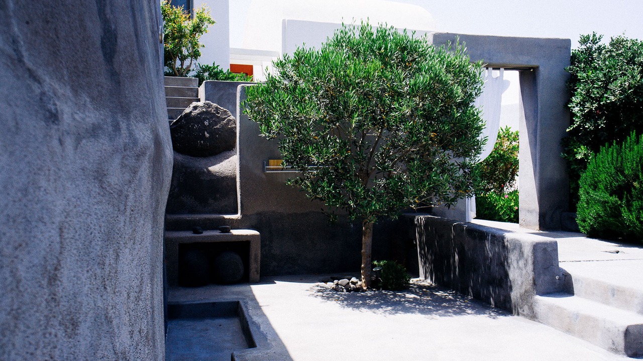 Photo of Outdoor in Oia