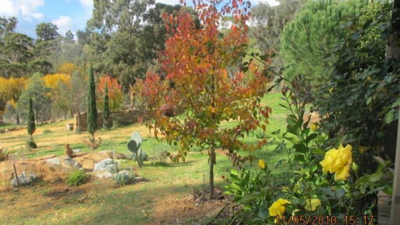 Photo of Outdoor in Shepherds Flat