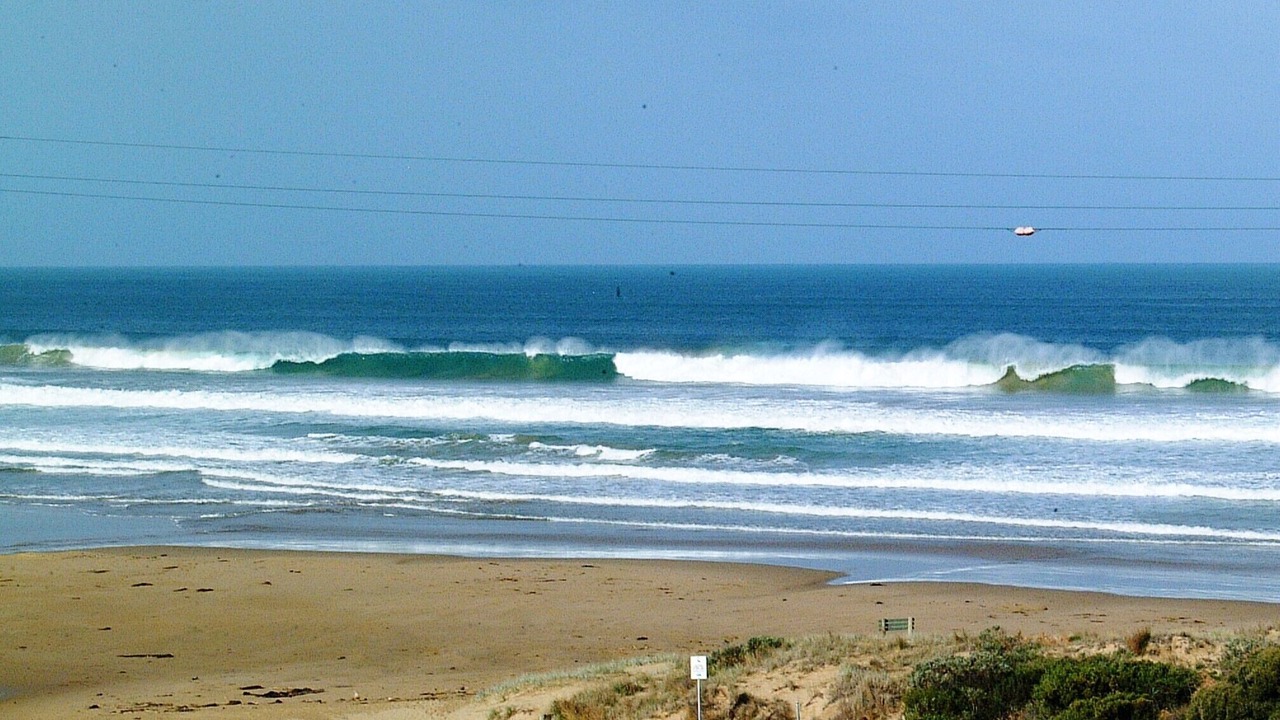 Photo of Others in Moggs Creek