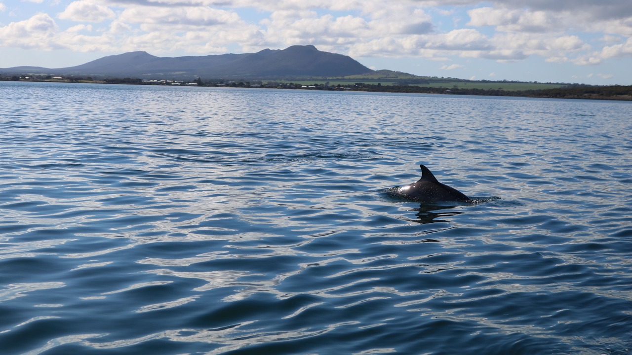 Photo of Others in Lake Wangary