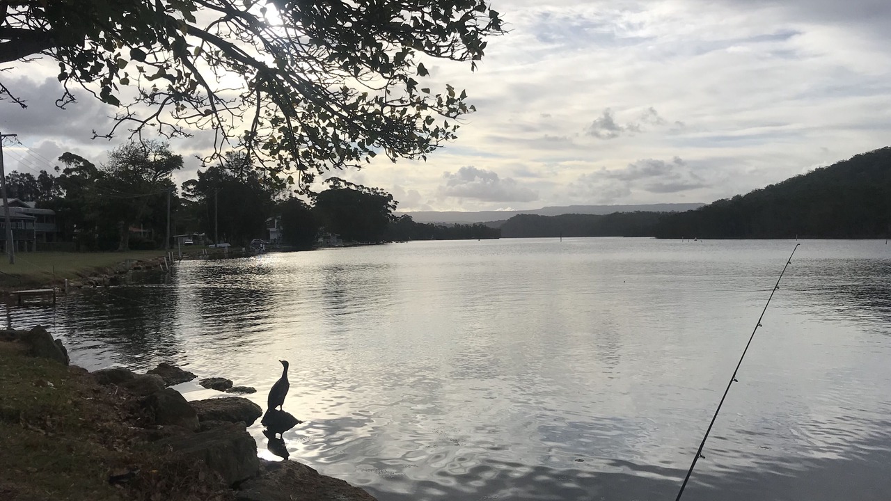 Photo of Outdoor in Lake Conjola