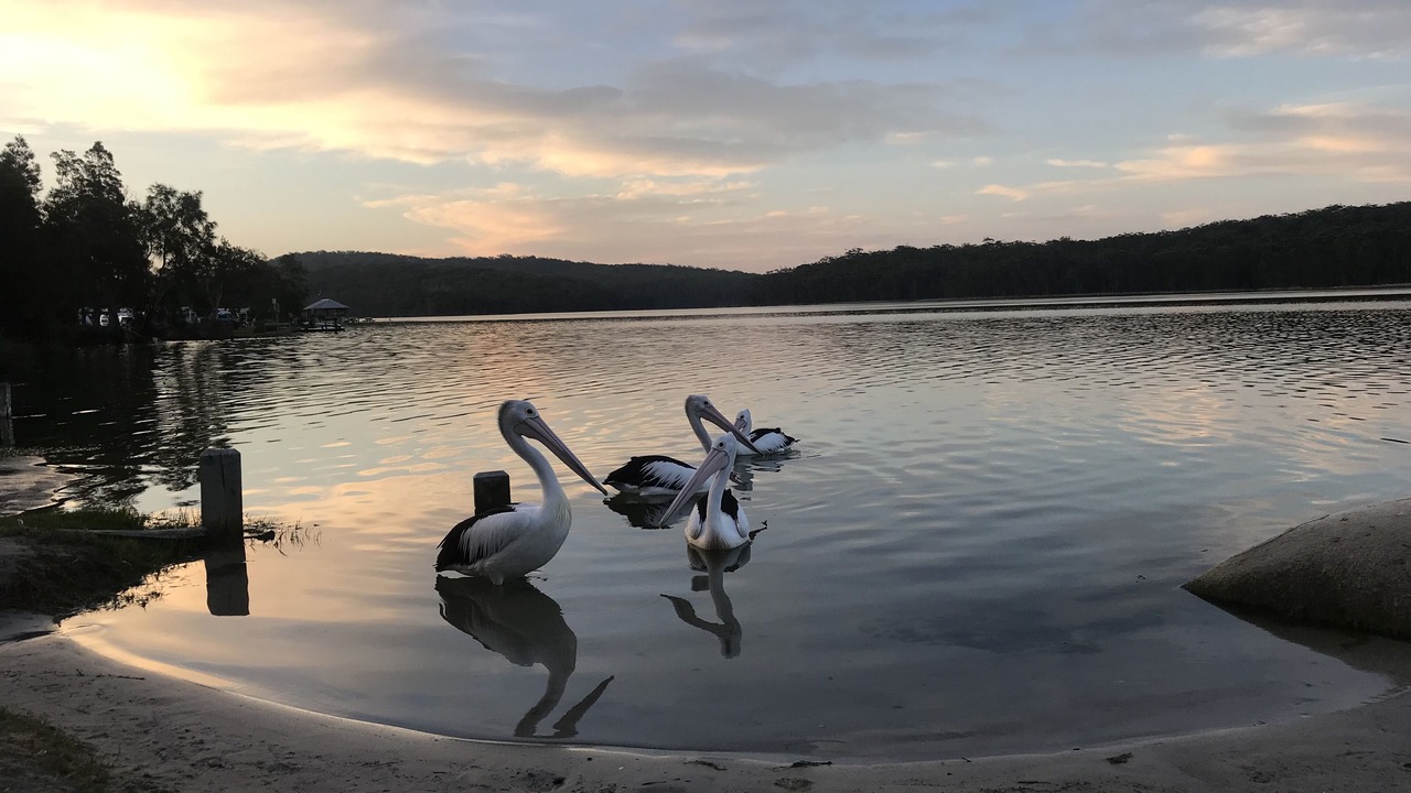 Photo of Others in Lake Conjola