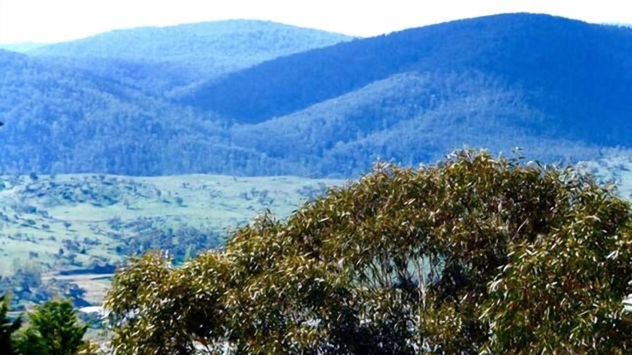 Photo of Others in Jindabyne