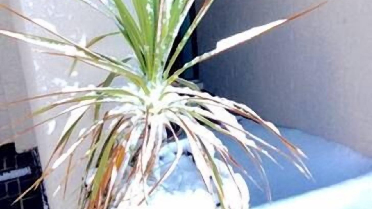 Photo of Outdoor in Jindabyne