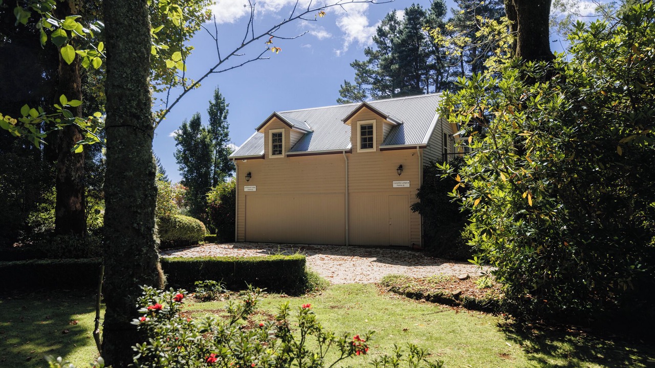 Photo of Outdoor in Mount Wilson