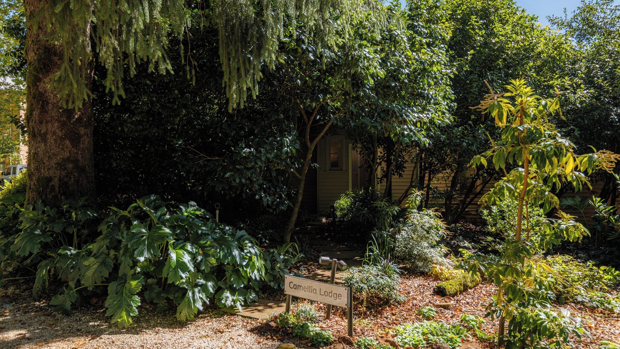 Photo of Outdoor in Mount Wilson