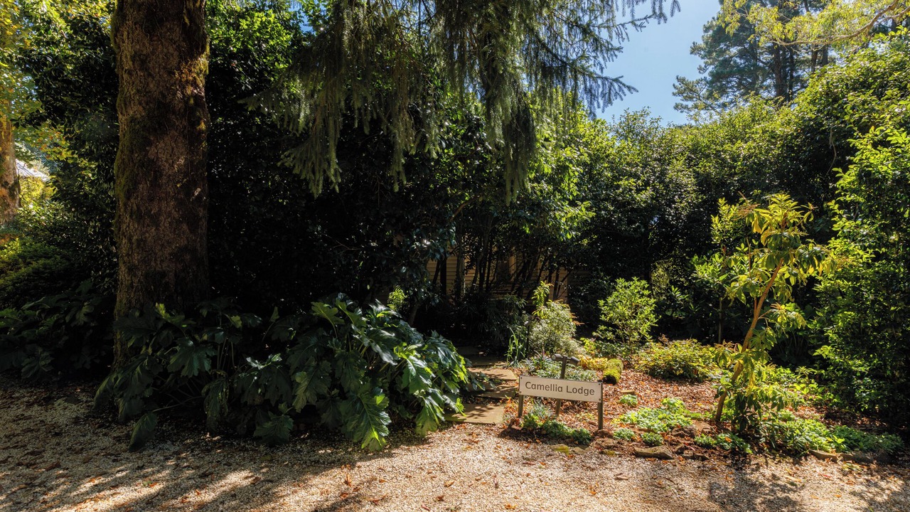 Photo of Outdoor in Mount Wilson