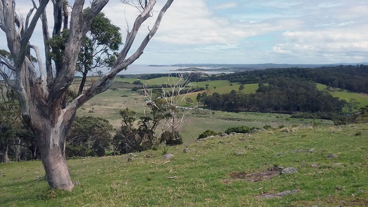 Photo of Outdoor in Mystery Bay