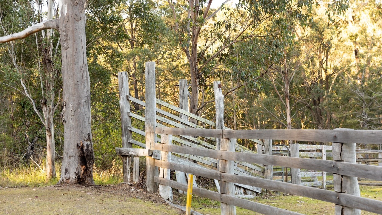 Photo of Outdoor in Mount View