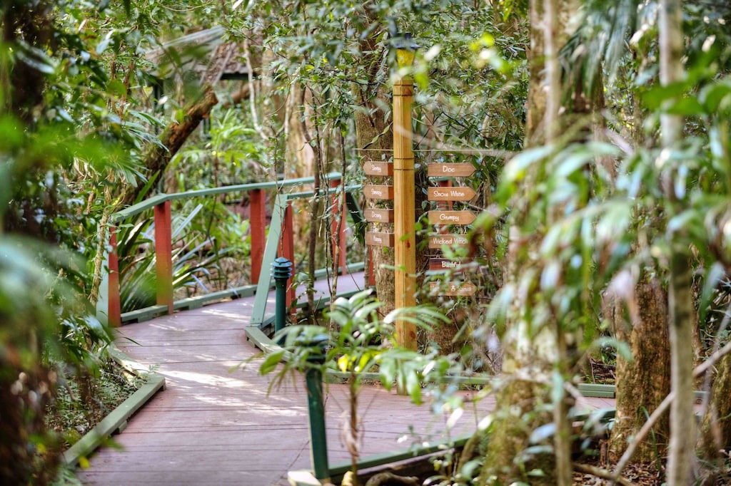 Photo of Others in Springbrook