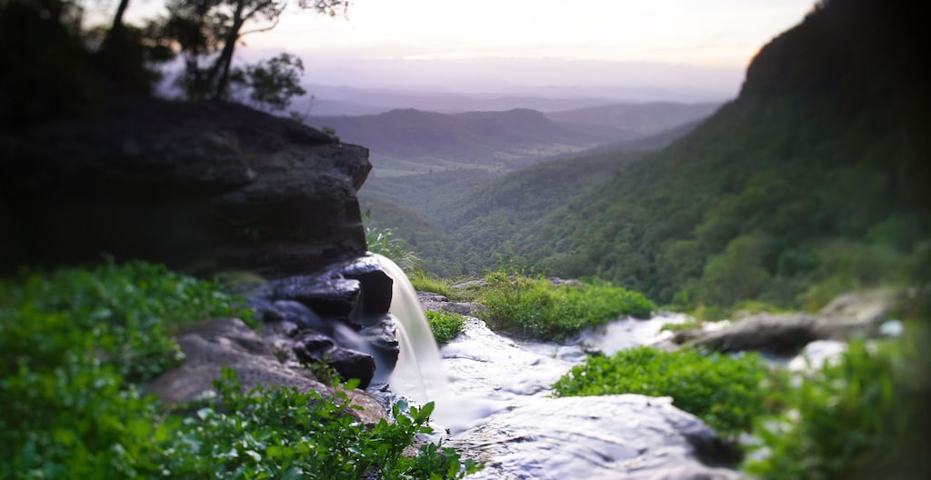 Photo of Others in Springbrook
