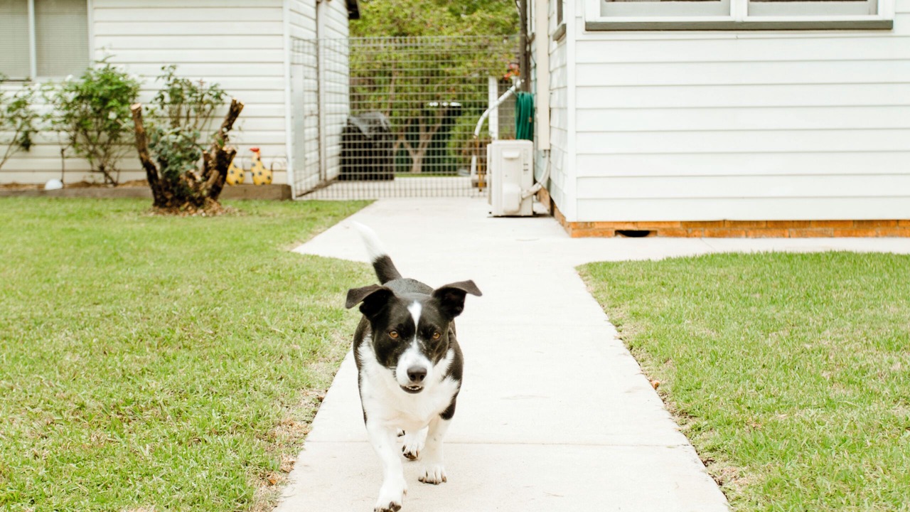 Photo of Outdoor in Wilberforce