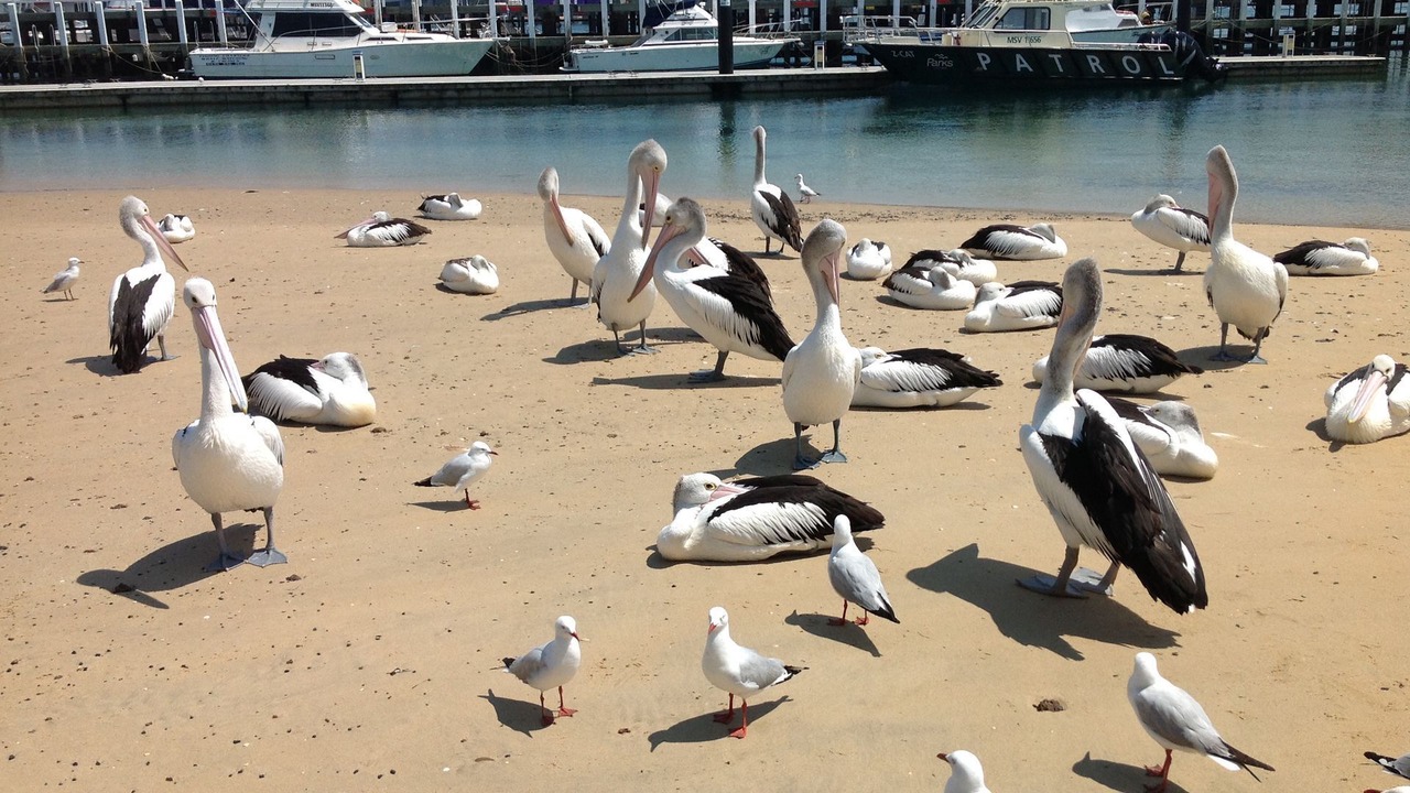 Photo of Others in Cowes