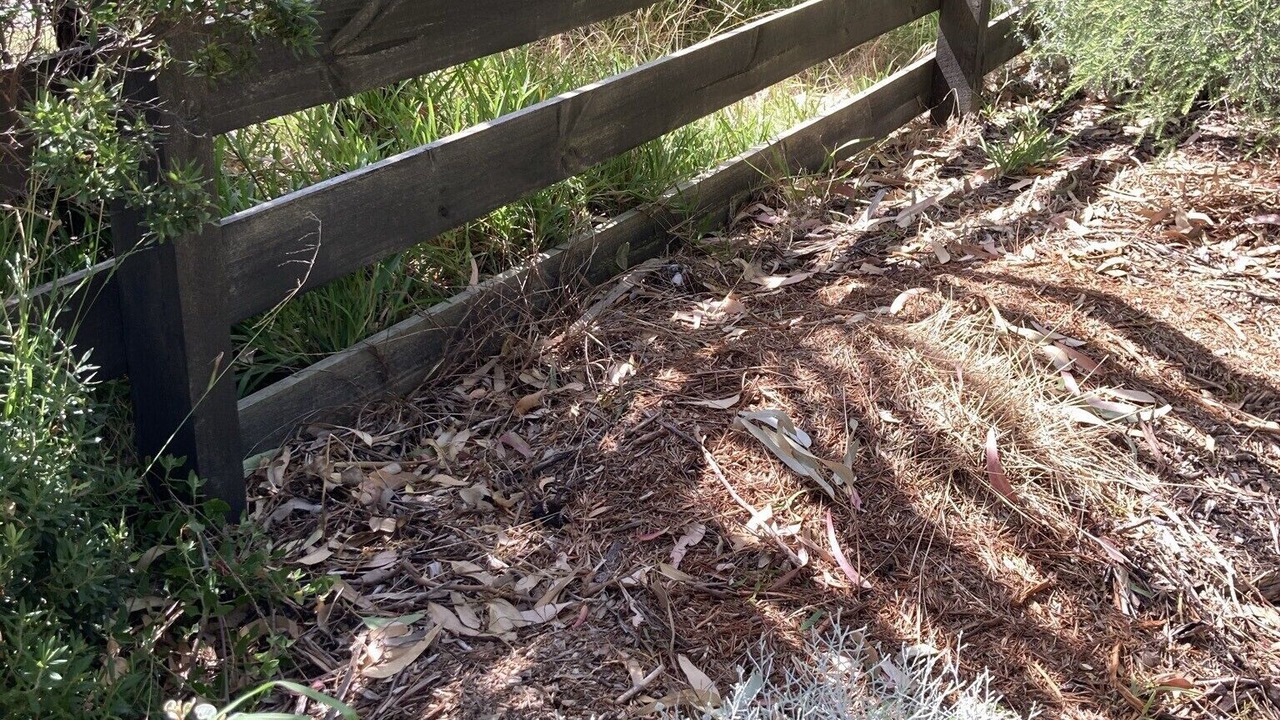 Photo of Outdoor in St. Andrews Beach