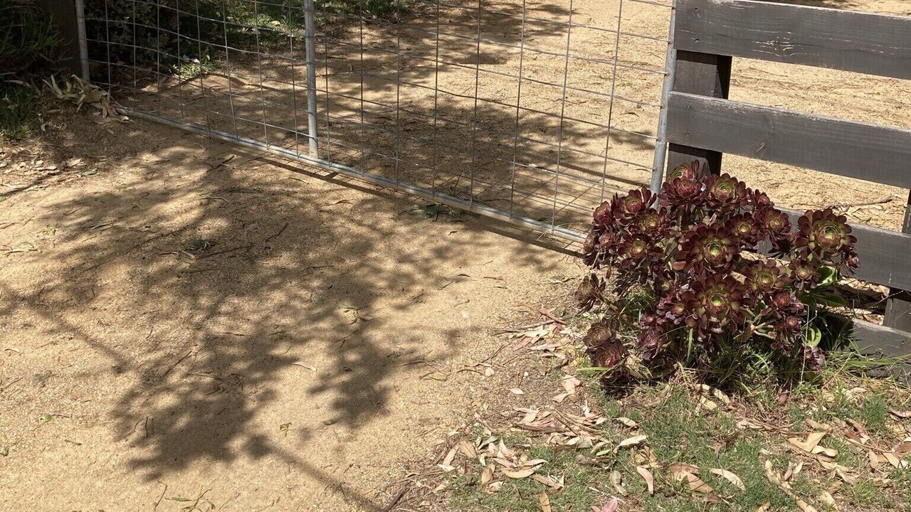 Photo of Outdoor in St. Andrews Beach