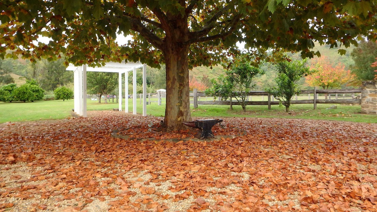 Photo of Outdoor in Mount Rivers