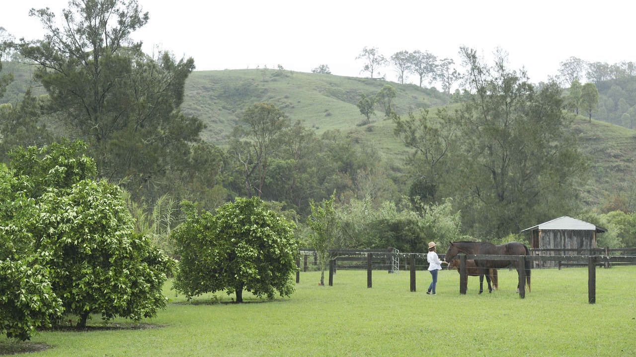 Photo of Outdoor in Mount Rivers