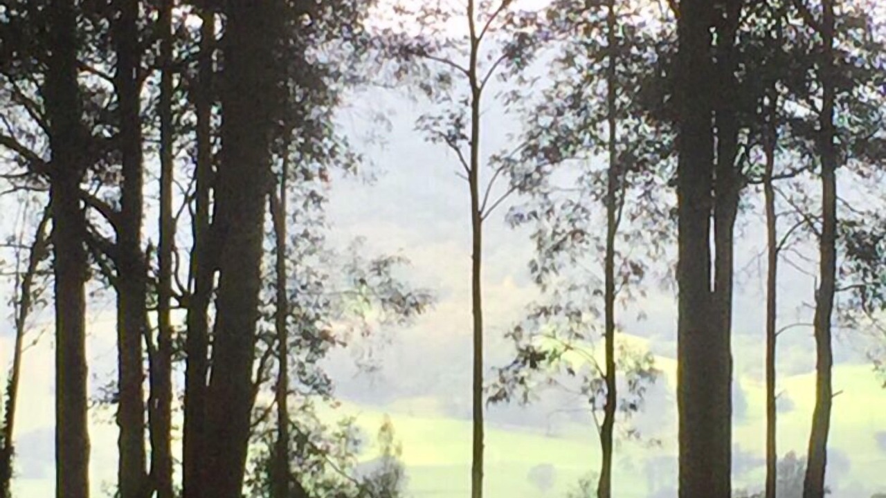 Photo of Others in Foxground