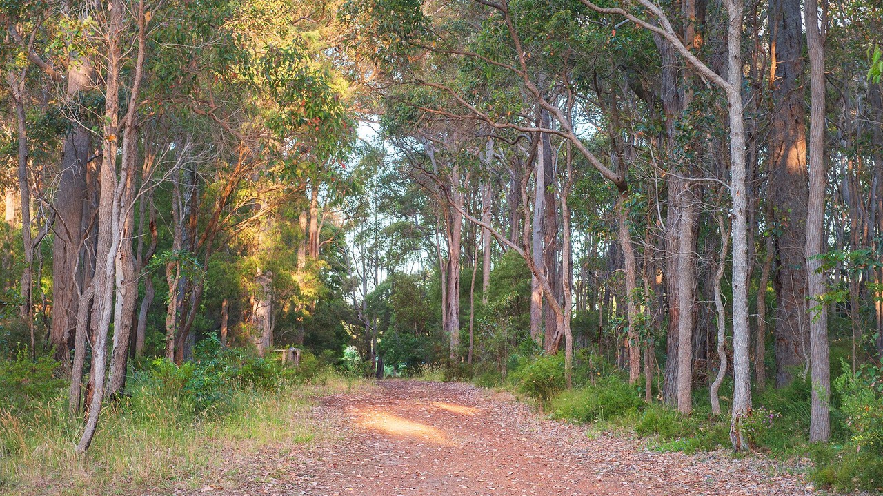 Photo of Others in Margaret River