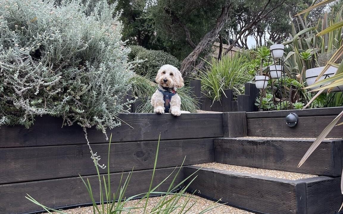 Photo of Outdoor in Rye