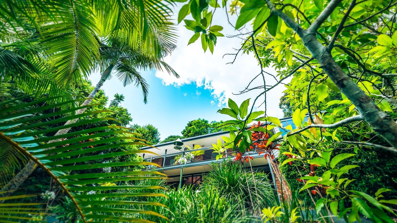 Photo of Outdoor in Bellingen