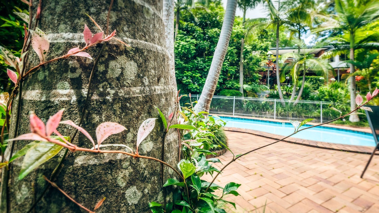Photo of Outdoor in Bellingen