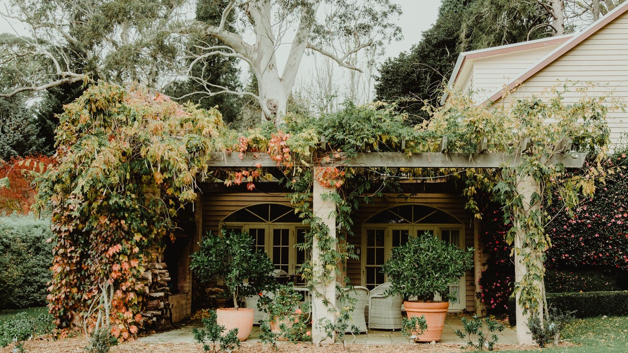 Photo of Outdoor in Mount Wilson