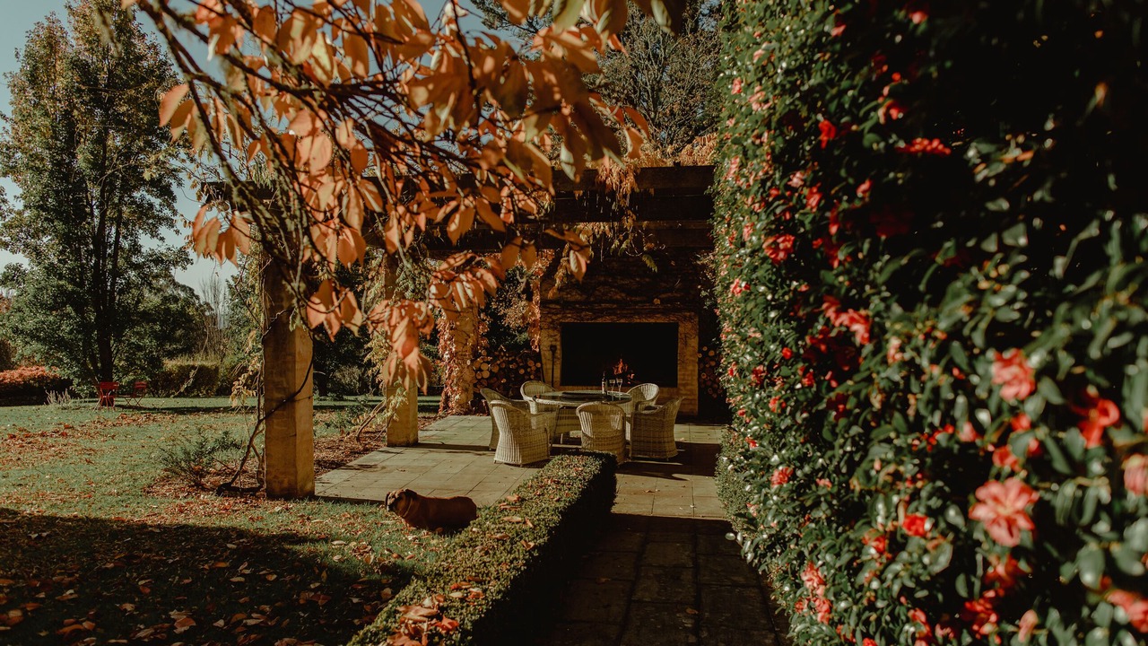 Photo of Outdoor in Mount Wilson