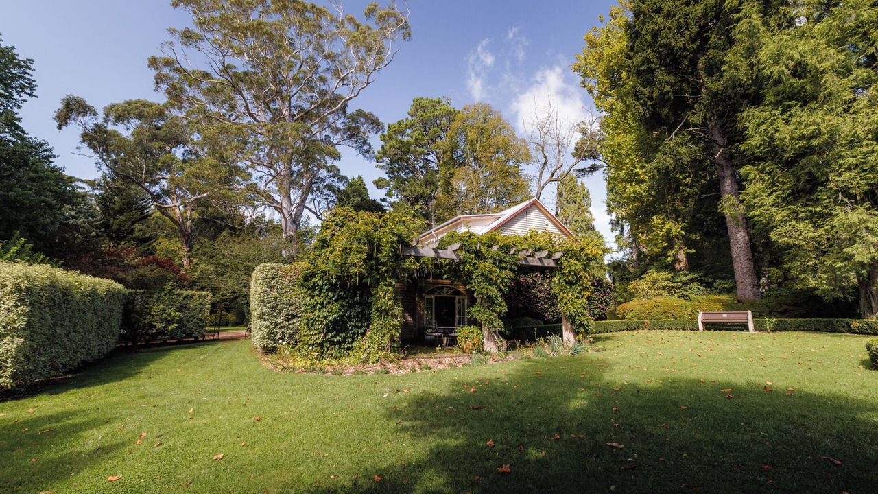 Photo of Outdoor in Mount Wilson