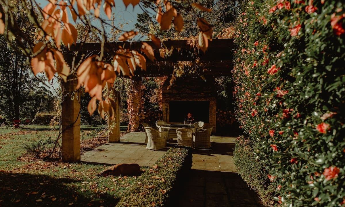 Photo of Outdoor in Mount Wilson