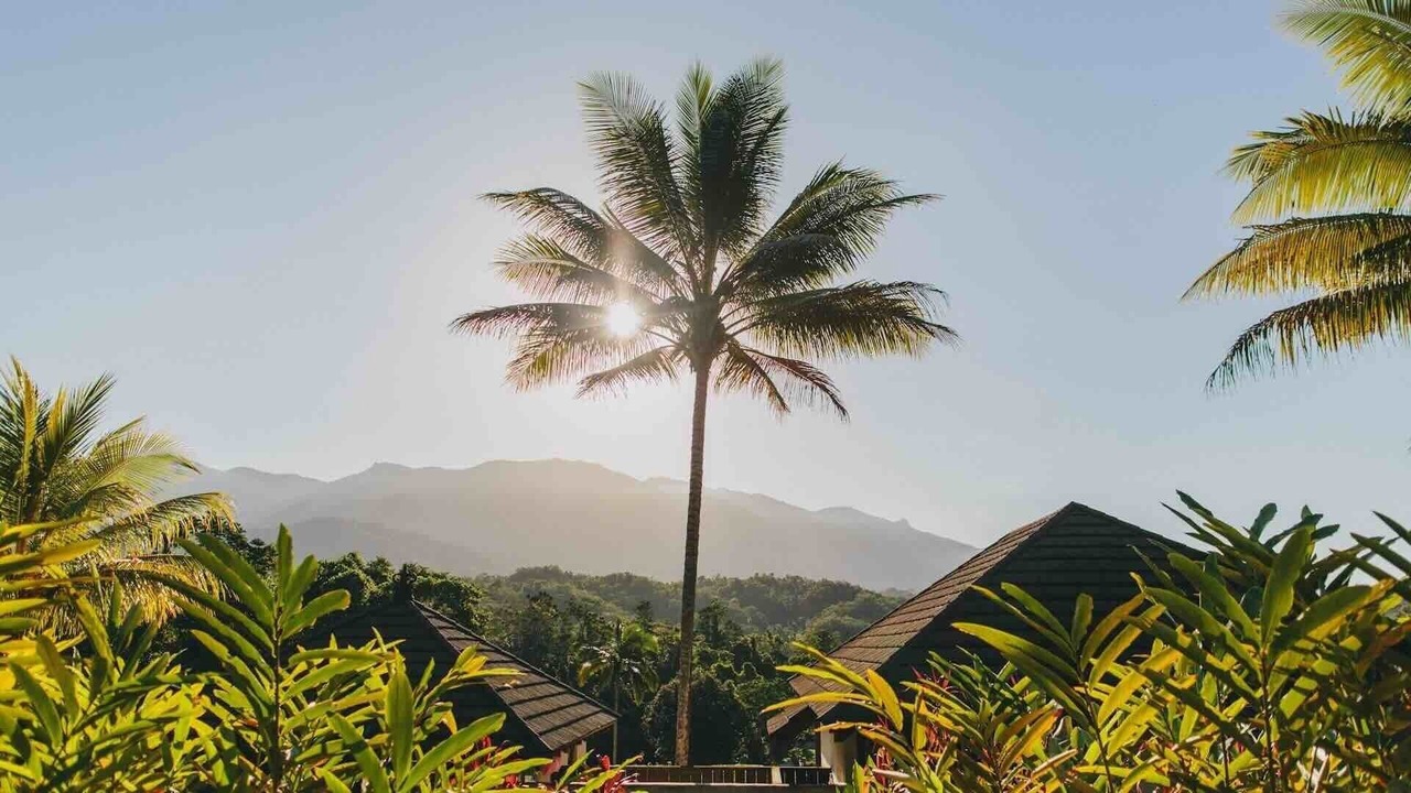 Photo of Others in Mossman