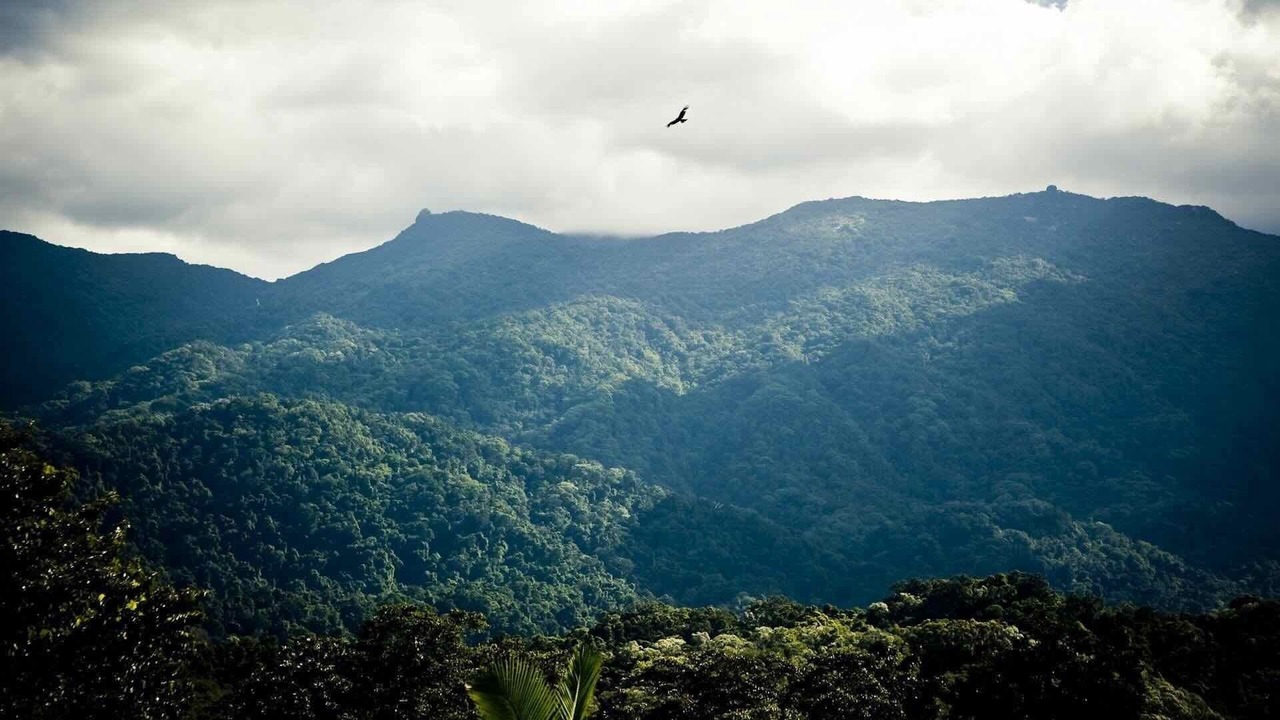 Photo of Others in Mossman