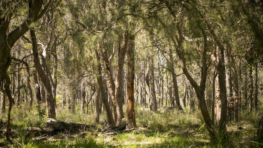 Photo of Outdoor in Yallingup
