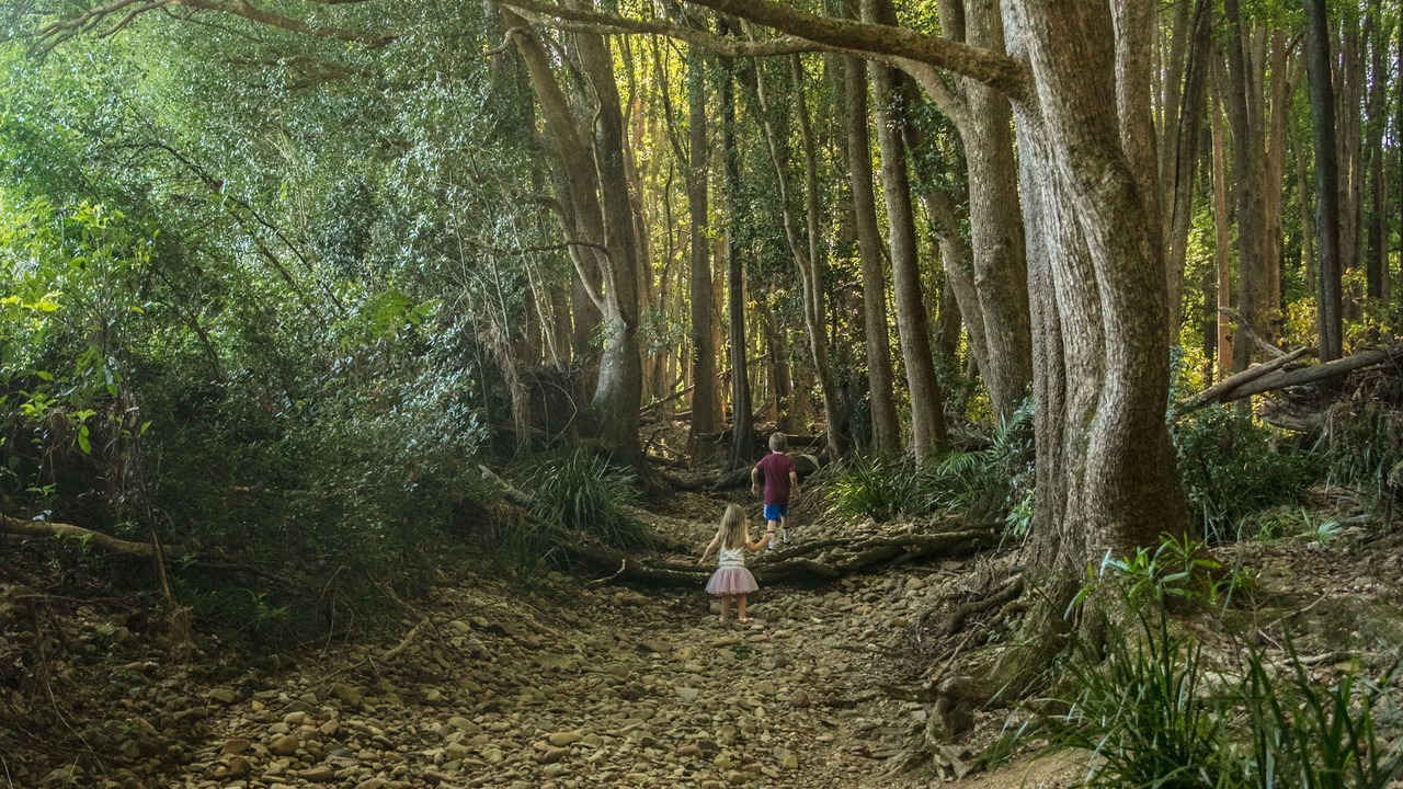 Photo of Others in Crystal Creek