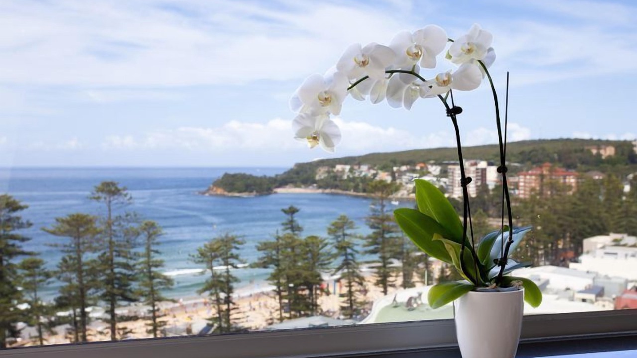 Photo of Others in Manly