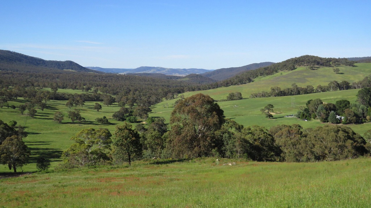 Photo of Outdoor in Meadow Flat