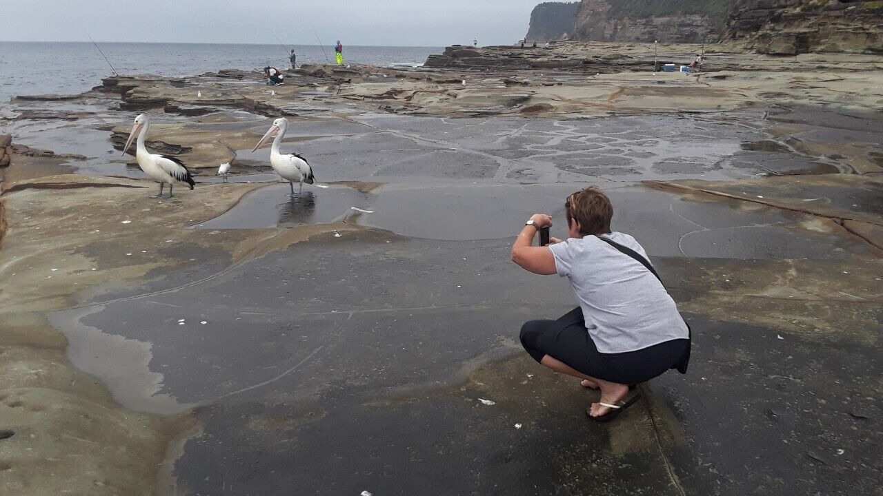 Photo of Others in Avoca Beach