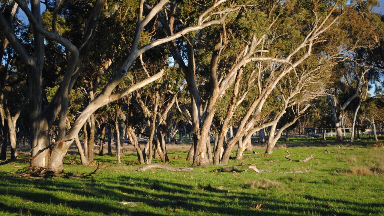 Photo of Outdoor in Matheson