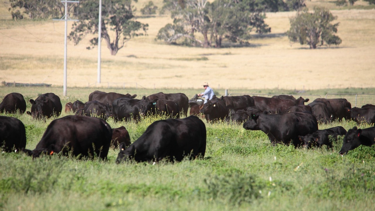 Photo of Others in Matheson