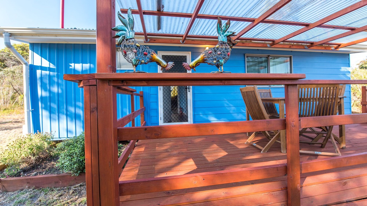 Photo of Outdoor in Ocean Beach