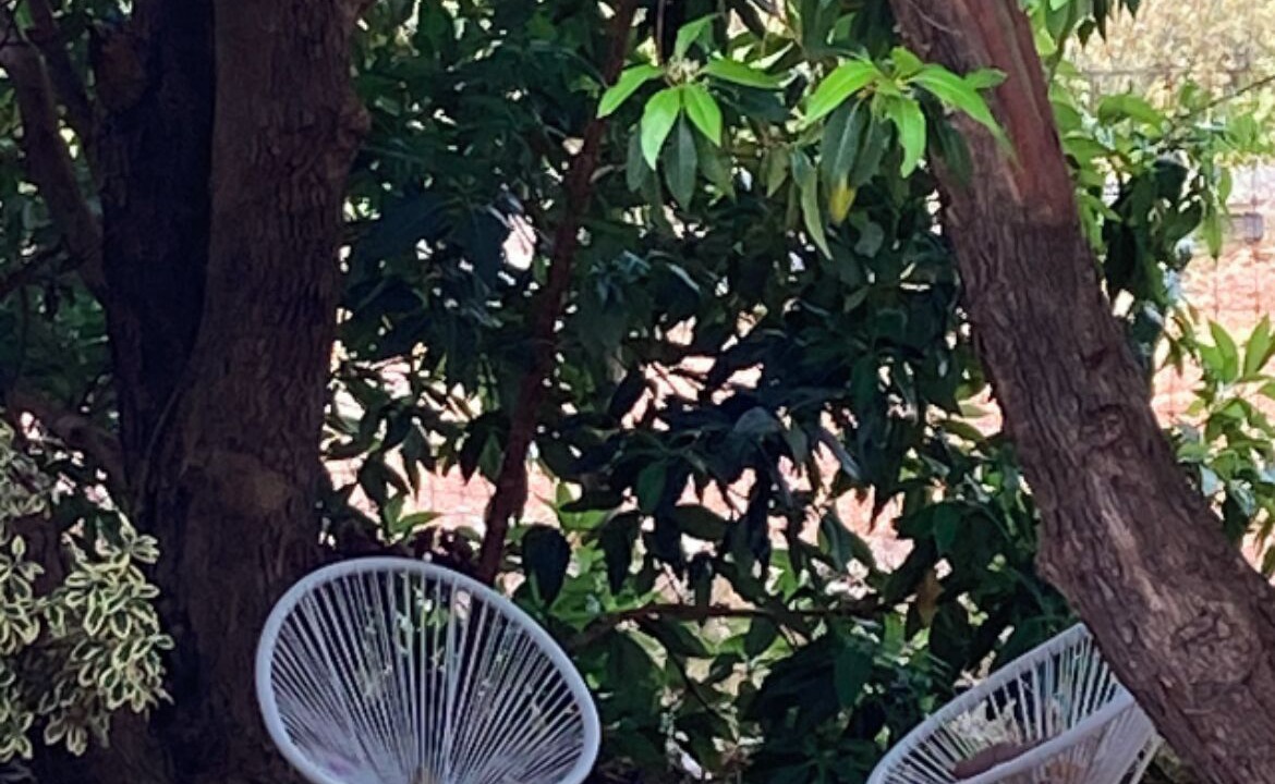 Photo of Outdoor in Ocean Beach