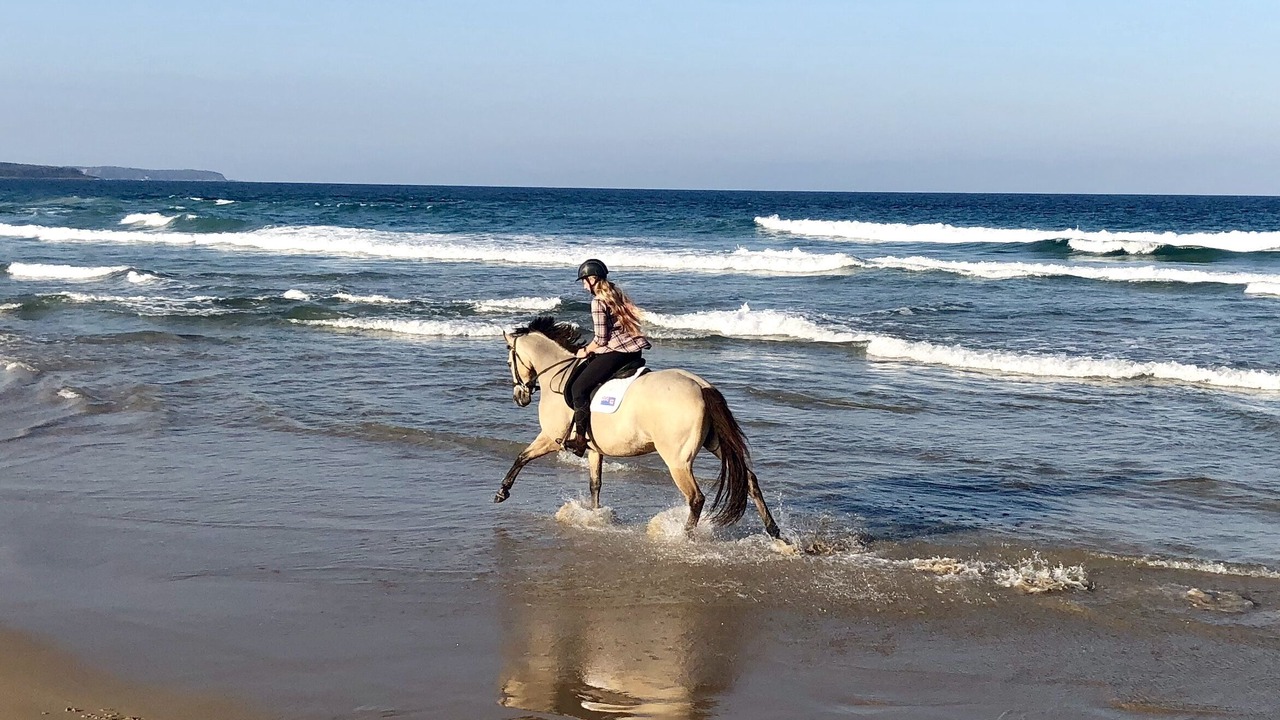 Photo of Others in Moruya