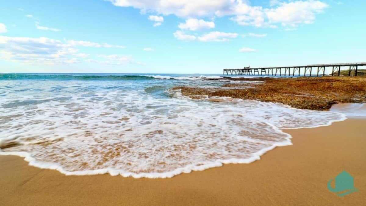 Photo of Others in Catherine Hill Bay