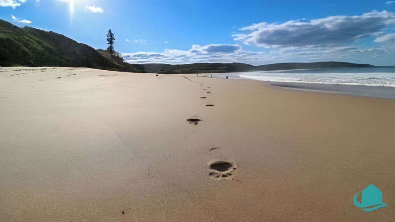Photo of Others in Catherine Hill Bay
