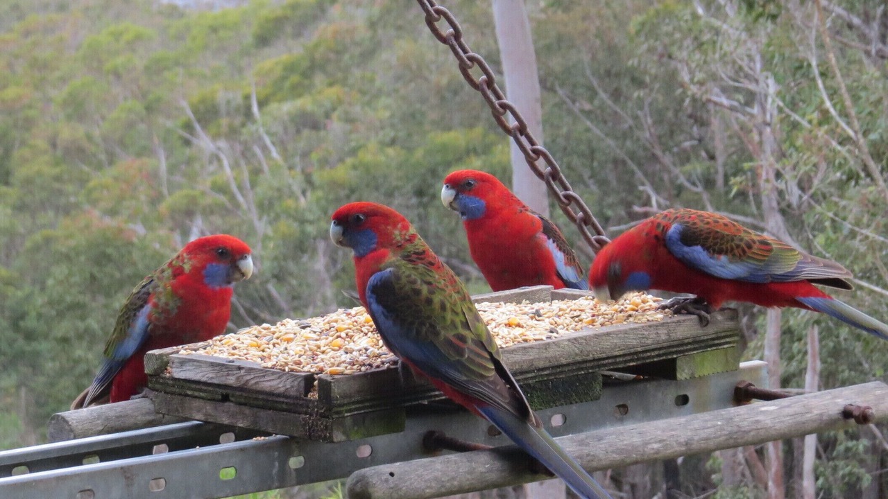 Photo of Outdoor in Vacy